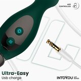 INTOYOU Vibracijski stimulator prostate Greeny (R900346) | Shoptok.si