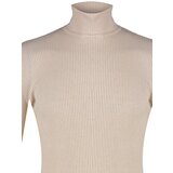 Trendyol Muška dolčevita Knitwear | shoptok.hr
