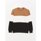LC Waikiki Crew Neck Long Sleeved Color Block Men's Sweatshirt. | shoptok.hr