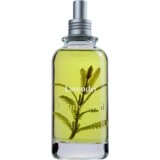 Jimmy Boyd Organska sveža dišava sivke - 200 ml | Shoptok.si