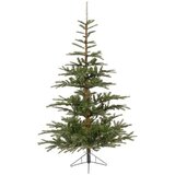 Nobilis everlands fir 180cm 68.9201