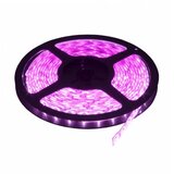 Hennessy LED traka roza 60 LED / 1m LTR3528/60P-12 u