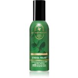 Bath & Body Works Eucalyptus pršilo za dom 42.5 g | Shoptok.si
