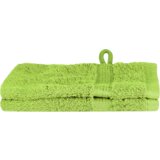  Krpice 2 pcs Jabukova zelena 15 x 21 cm Pamuk | shoptok.hr