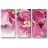  Slike na platnu cveće | ePonuda.com