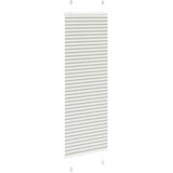 vidaXL Plisirana roleta svijetlosiva 50x100 cm širina tkanine 49,4 cm | shoptok.hr
