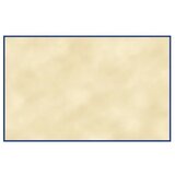 Avery Zweckform Vizitke 85 x 54 mm, 220 g/m² | Shoptok.si