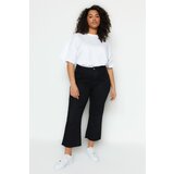 Trendyol Curve Plus Size Jeans - Black - Wide leg Cene