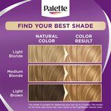 Schwarzkopf Palette Intensive Color Creme permanentna barva za lase odtenek 12-46 (BW12) Nude Light Blonde 1 kos | Shoptok.si