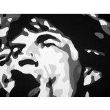  Ročno izdelana slika POP Art Mick Jagger 3-delna (POP ART) | Shoptok.si