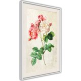  Poster - Romance II 40x60 | shoptok.hr