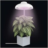  LED unutrašnja lampa za uzgoj biljaka GROW LED/5W/5V | Eponuda.com