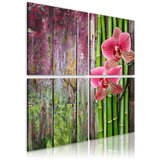  Slika - Bamboo and orchid 90x90 Cijene