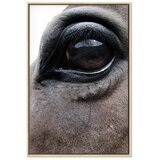  Slika - Honest Eyes (1 Part) Vertical 60x90 U prirodnom drvenom okviru | shoptok.hr