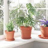  Saksije za biljke 6 pcs Crvena cigla Ø 19 x 16 cm Plastika | shoptok.hr