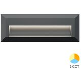 Braytron zidna rasvjeta led 3W 180lm 3CCT 3000K/4000K/6500K IP65 antracit vekta-b Cijene