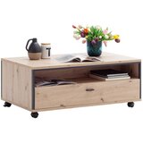 Livetastic KLUBSKA MIZA, antracit, barve hrasta | Shoptok.si