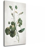  Slike na platnu biljke 011 (moderne slike na platnu) | ePonuda.com