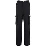Dickies Kargo hlače 'Hooper Bay' črna Cene