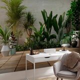  Foto tapeta - Home Garden 250x175 | shoptok.hr