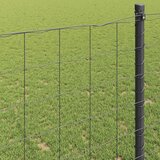 Euro ograda 0,6 x 25 m Željezo prekriveno PVC-om Siva | shoptok.hr