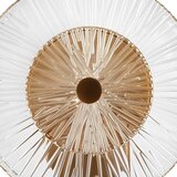 MAYTONI Stenska Svetilka Aster | Shoptok.si