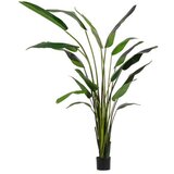  BILJKA STRELICIJA 310CM ZELENA Cijene