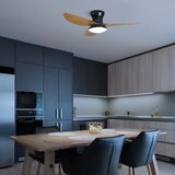 Brilagi-LED prigušiva stropni ventilator sa LED osvetljenjem/30W/230V 3000-6500K crna/smeđa + daljinski upravljač | Eponuda.com