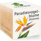 Feel Green ecocube "rajska ptica" Cene