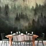  Foto tapeta - Misty Beauty of the Forest 150x105 Standard | shoptok.hr
