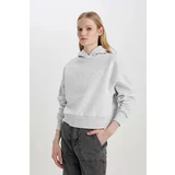 Defacto Boxy Fit Thick Hooded Sweatshirt