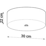 Stropna svetilka SKALA 30 črna, (21347548) | Shoptok.si