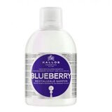  Šampon za bojanu kosu Kallos Borovnica – 1000 ml | Eponuda.ba