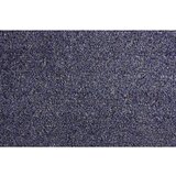Miltex Predpražnik EAZYCARE AQUA, DxŠ 1800 x 1200 mm, moder | Shoptok.si