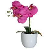  Umetna rastlina Phalaenopsis (Višina: 26 cm, Vijolična, Plastika) | Shoptok.si