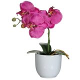  Umjetna biljka Phalaenopsis (Visina: 26 cm, Ljubičasta, Plastika) Cijene