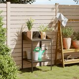 vidaXL Stojalo za rastline antracit 56,5x54,5x100 cm pocinkano jeklo | Shoptok.si