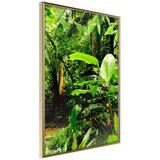  Poster - In the Rainforest 40x60 Cijene