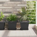  Kvadratna saksija za cvijeće 24 pcs Crna 28,5 x 28,5 x 22 cm | shoptok.hr
