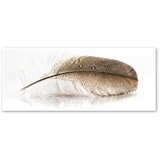 Styler Slika Glasspik Wings, 50 x 125 cm Cene