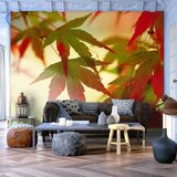  Tapeta - Colourful leaves 300x231 Cijene