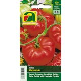 AUSTROSAAT mesnati paradižnik "Marmande" Cene