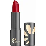 Lipstick - 210 Rouge Passion