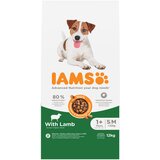 IAMS Advanced Nutrition Adult Small & Medium Dog s janjetinom - 12 kg | shoptok.hr