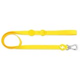 Dashi Collor Flex Yellow S Cene