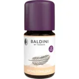 Baldini dišavna mešanica Feel Good - 5 ml