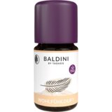  Baldini mirisna mješavina Feel Good - 5 ml Cijene