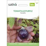 Sativa Tomatillo, Purple | Shoptok.si