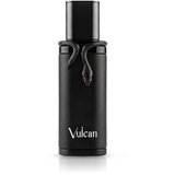 French Avenue French Avenue Muški parfem Vulcan Black Friday, EDP, 100 ml Cene
