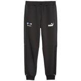 Puma 62121401 Crna Cijene